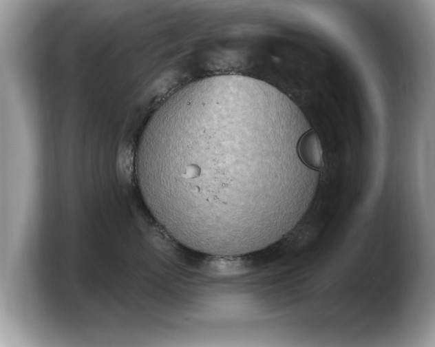 X0000103910767200809261610
