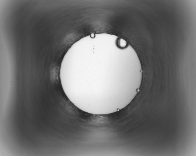 X0000103910768200809261610