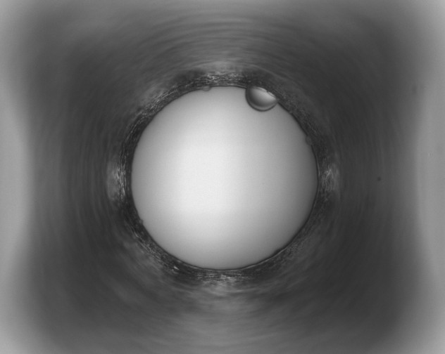 X0000103910772200809261609