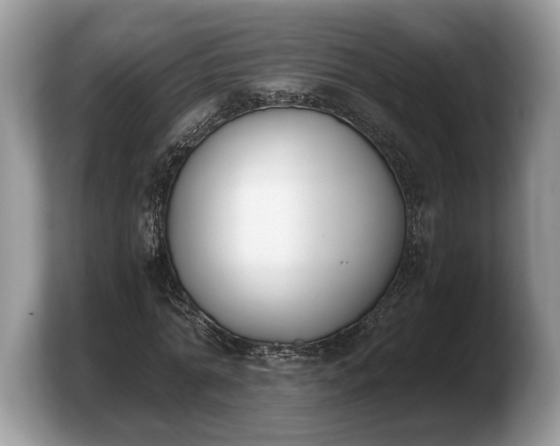 X0000103910774200809261609
