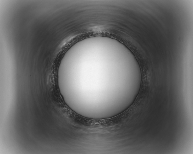X0000103910776200809261609