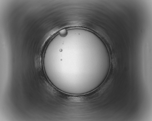 X0000103910781200809261609