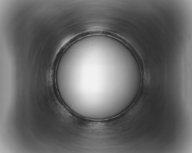X0000103910783200809261609