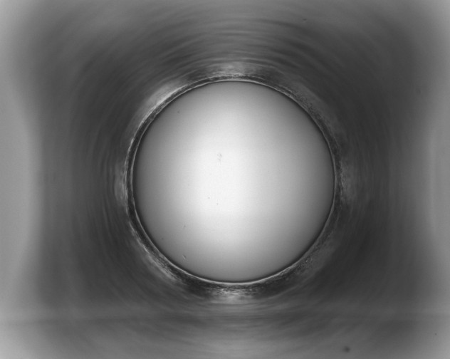 X0000103910794200809261609
