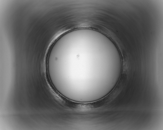 X0000103910795200809261609