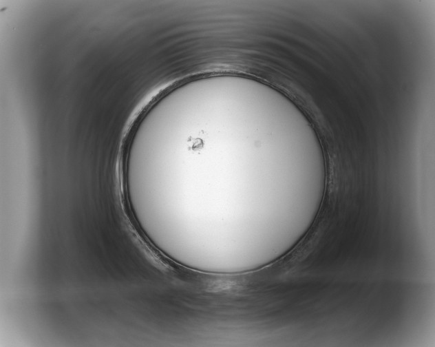 X0000103910796200809261609
