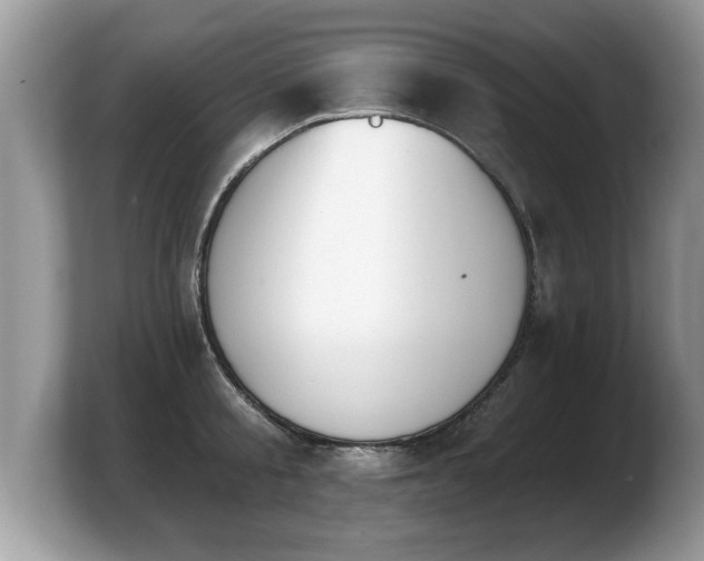 X0000103910805200809261609