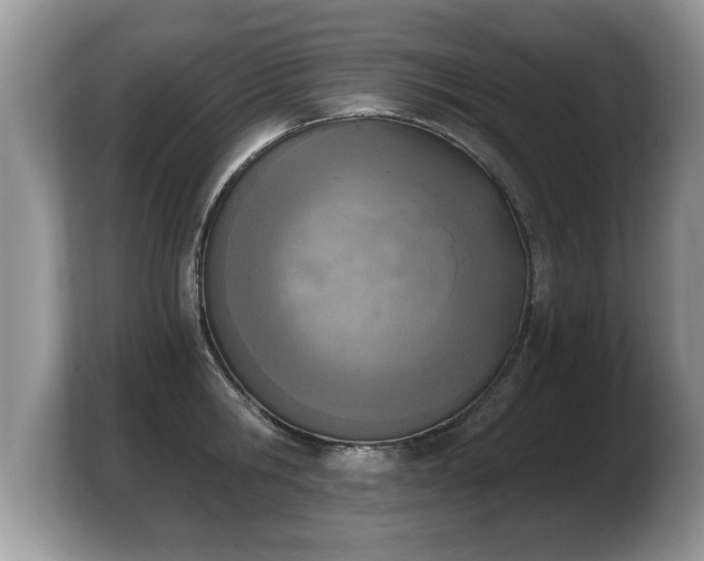 X0000103910806200809261609