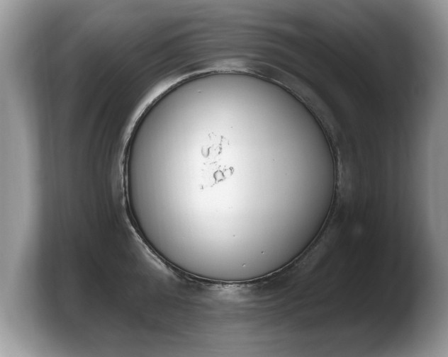 X0000103910808200809261609