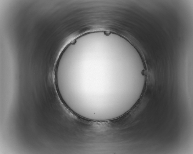 X0000103910813200809261609