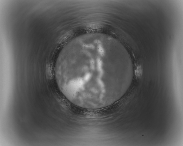 X0000103910819200809261608