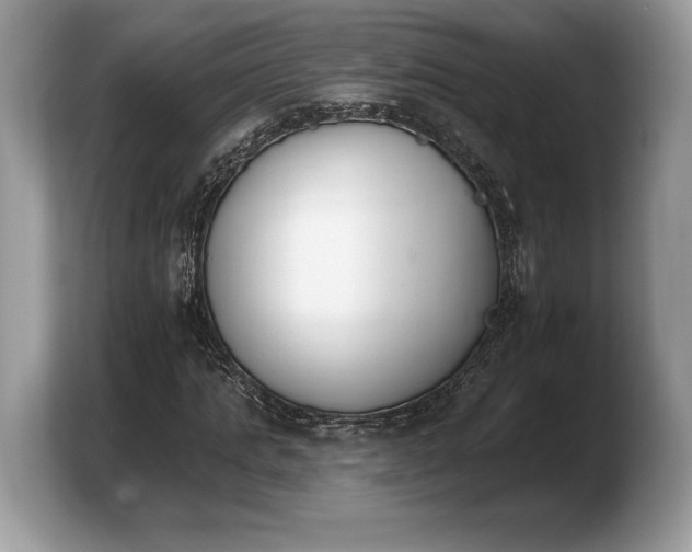 X0000103910821200809261608