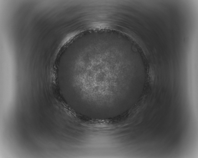 X0000103910823200809261608