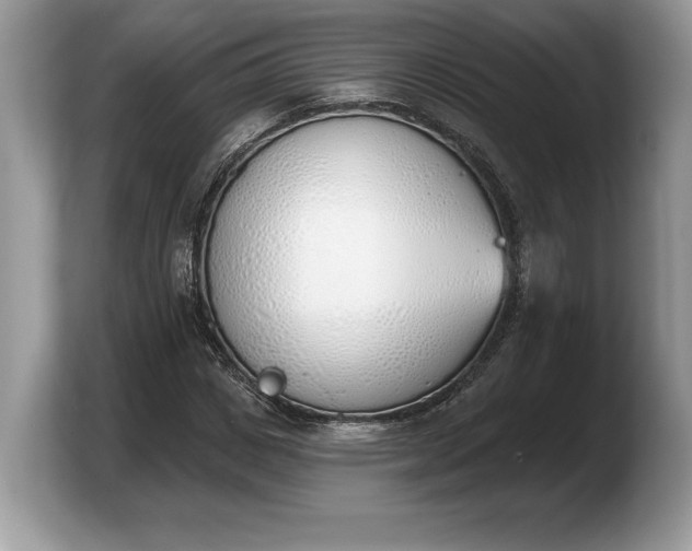 X0000103910825200809261608