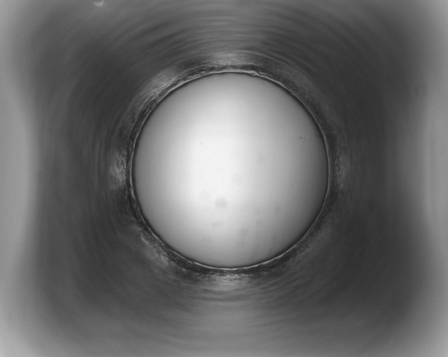 X0000103910833200809261608