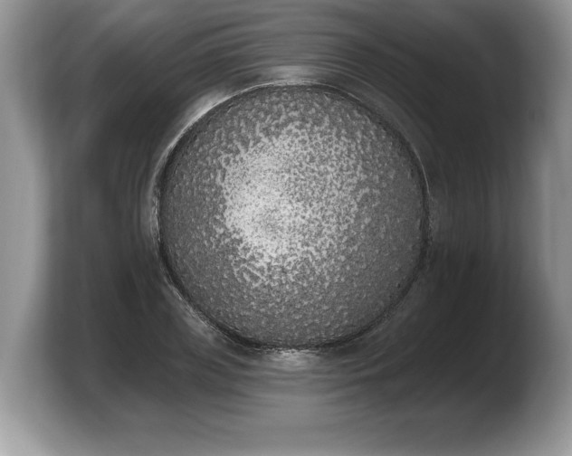X0000103910835200809261608