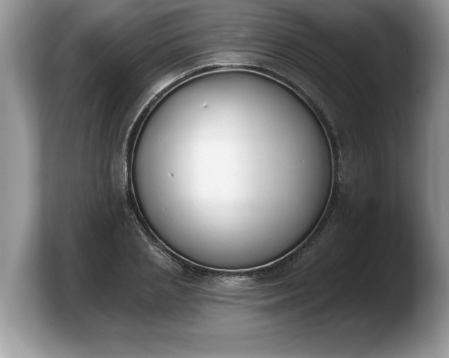 X0000103910837200809261608
