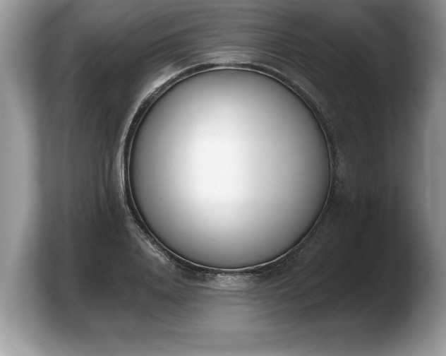 X0000103910840200809261608
