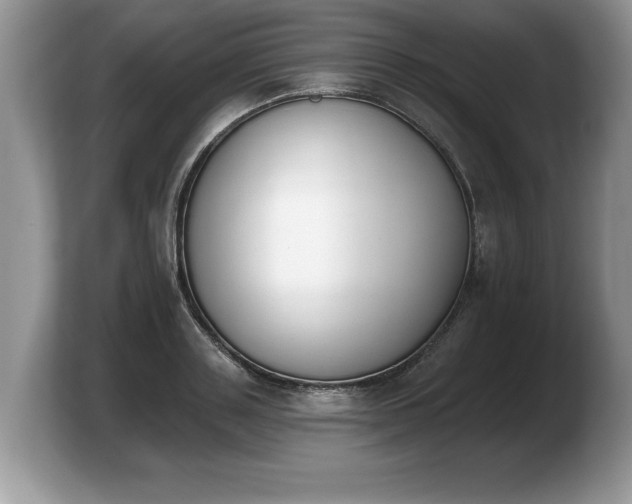 X0000103910843200809261608