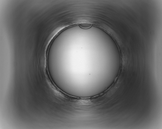 X0000103910844200809261608