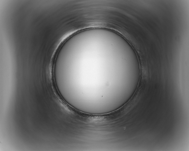 X0000103910846200809261608