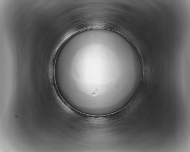 X0000103910851200809261608