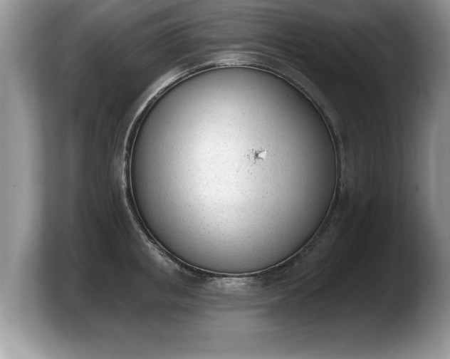 X0000103910853200809261608
