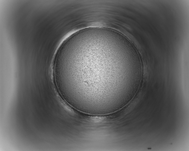 X0000103910854200809261608