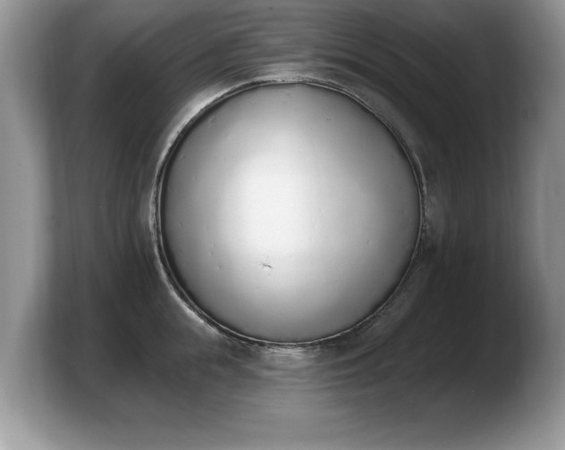 X0000103910855200809261609