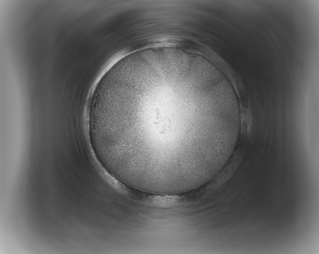 X0000103910859200809261609