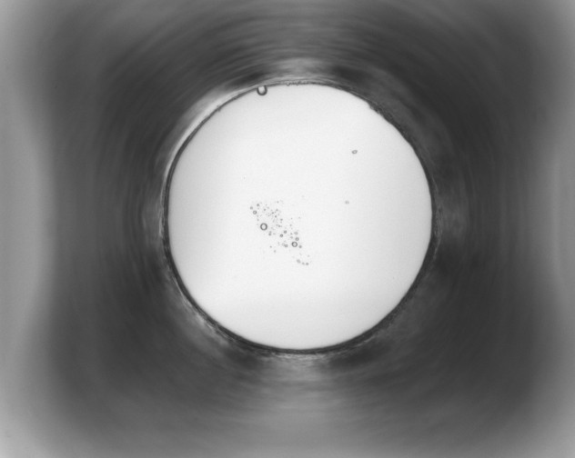 X0000103910860200809261609