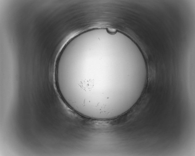 X0000103910861200809261609