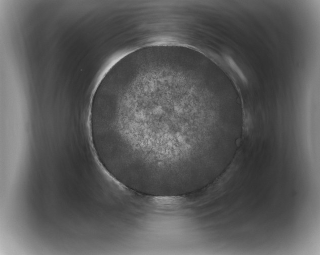 X0000103910863200809261609