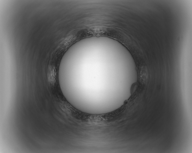 X0000103910866200809261608