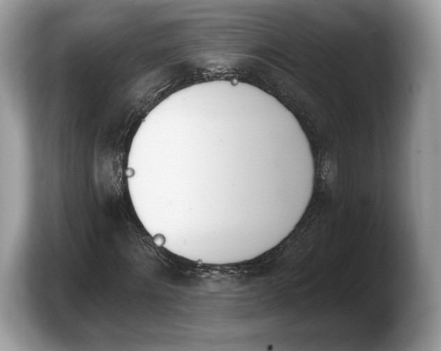 X0000103910868200809261608