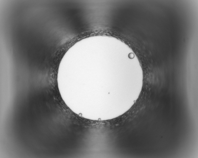 X0000103910869200809261608