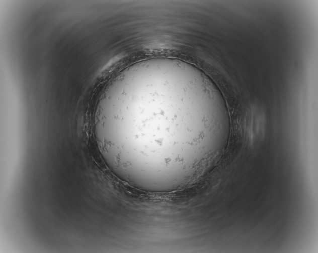 X0000103910870200809261608