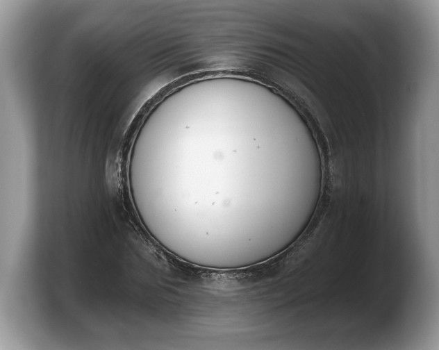 X0000103910875200809261608