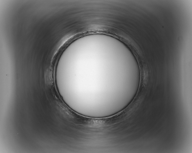 X0000103910878200809261608