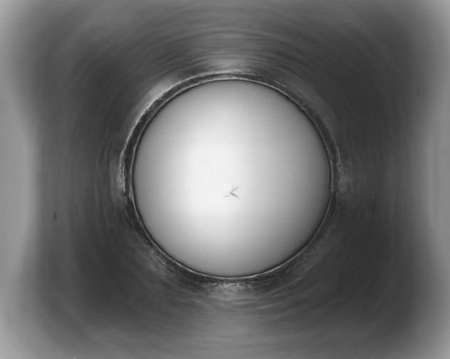 X0000103910883200809261608