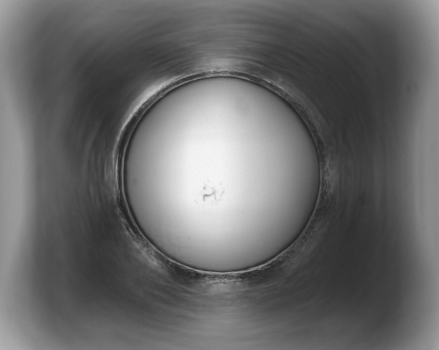 X0000103910886200809261608