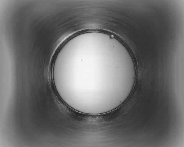 X0000103910887200809261608