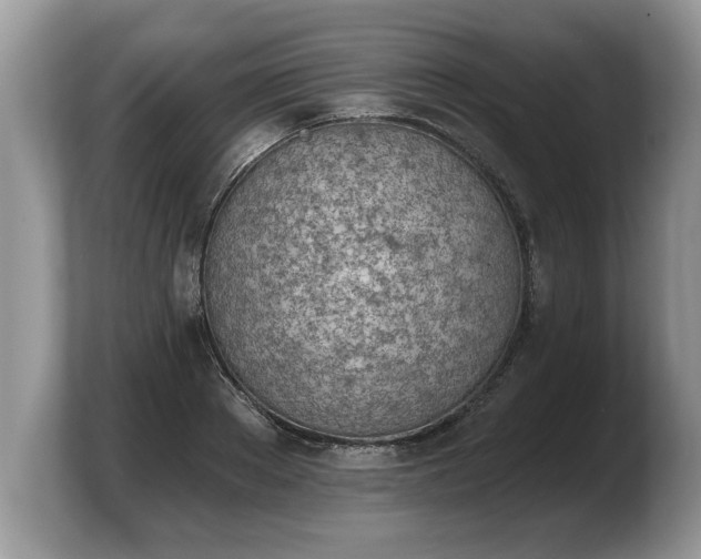 X0000103910889200809261608