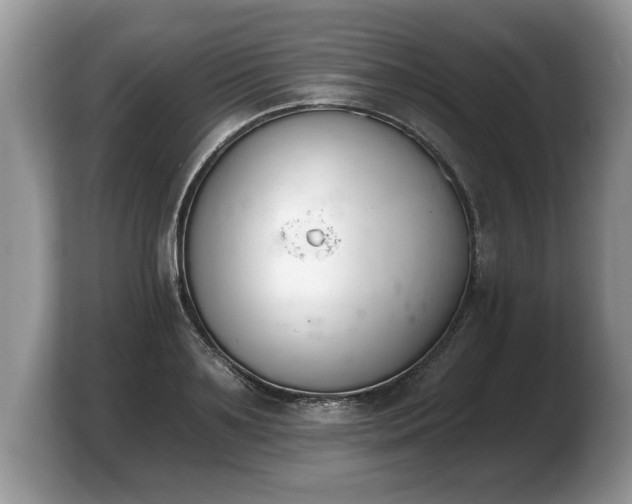 X0000103910891200809261608