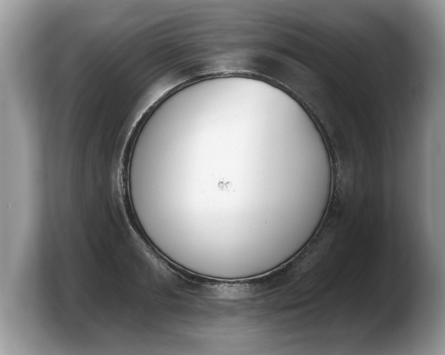 X0000103910893200809261608