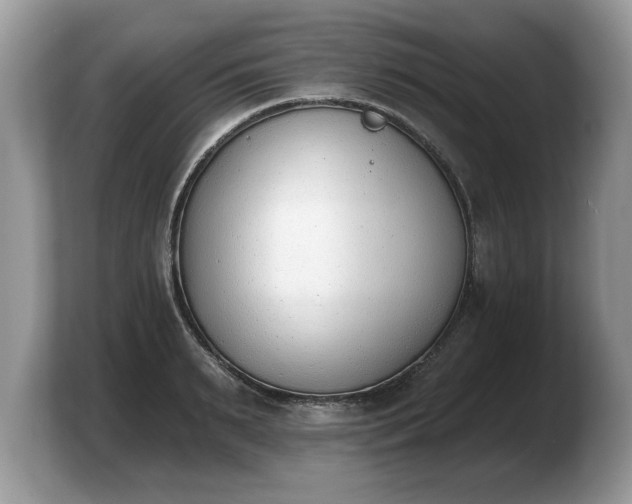 X0000103910895200809261608