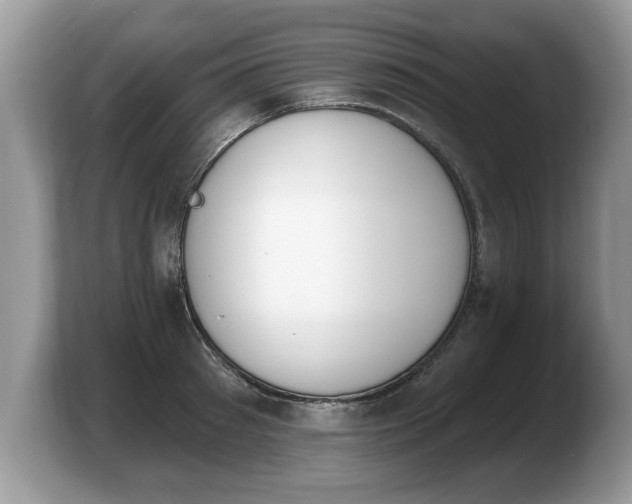 X0000103910897200809261608