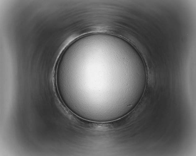 X0000103910899200809261607