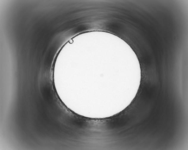 X0000103910900200809261607