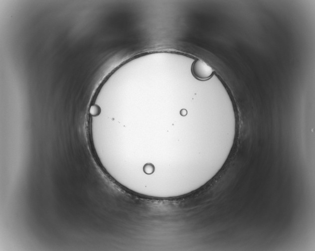X0000103910901200809261607